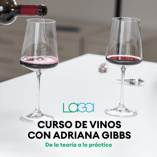 Curso de Vinos del CIAP-UCAB